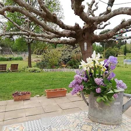Roulotte En Bois Sud France Country house