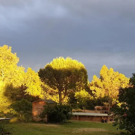 Roulotte En Bois Sud France *
